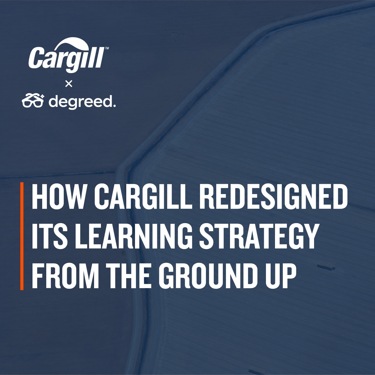 Cargill Org Chart