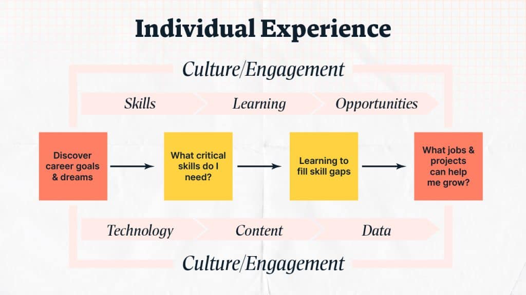 Individual Experience