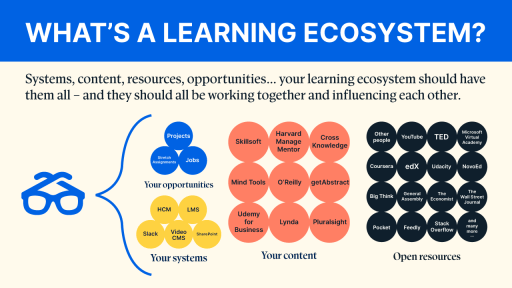 What's a learning ecosystem?