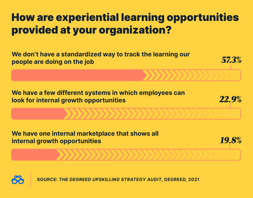 How are experiential learning opportunities provided at your organization? 