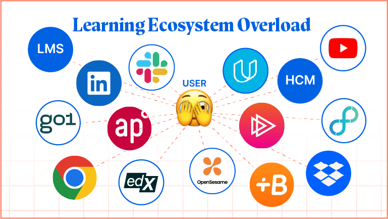 DIG: DIG Academy  Learning Ecosystem - Case Study